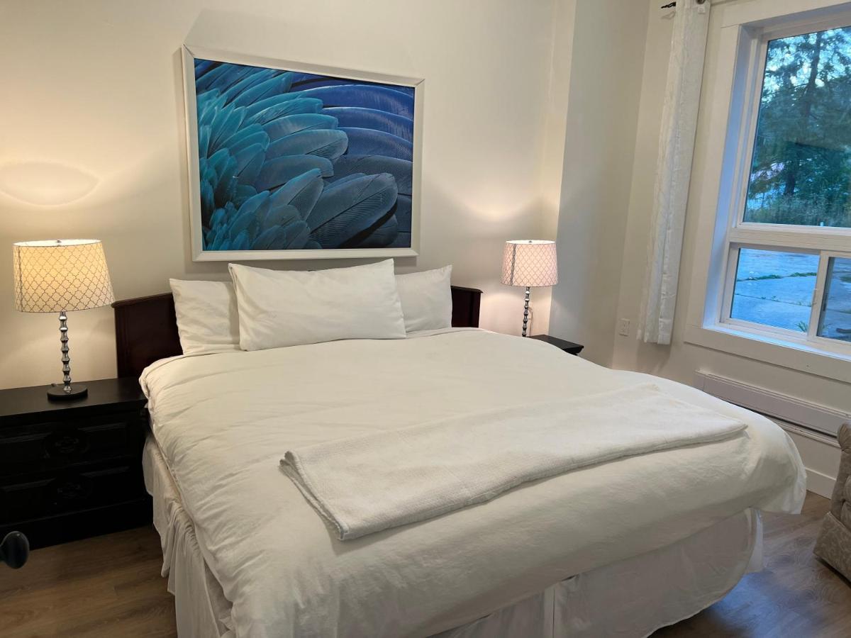 פורט אלברני Country Home, Sleeps 6 Pets Friendly מראה חיצוני תמונה