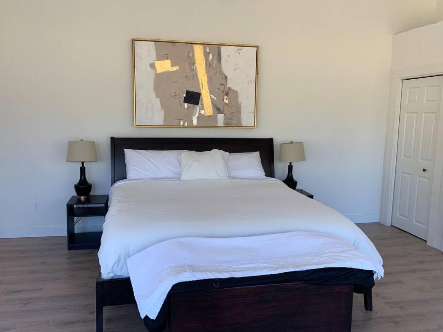 פורט אלברני Country Home, Sleeps 6 Pets Friendly מראה חיצוני תמונה